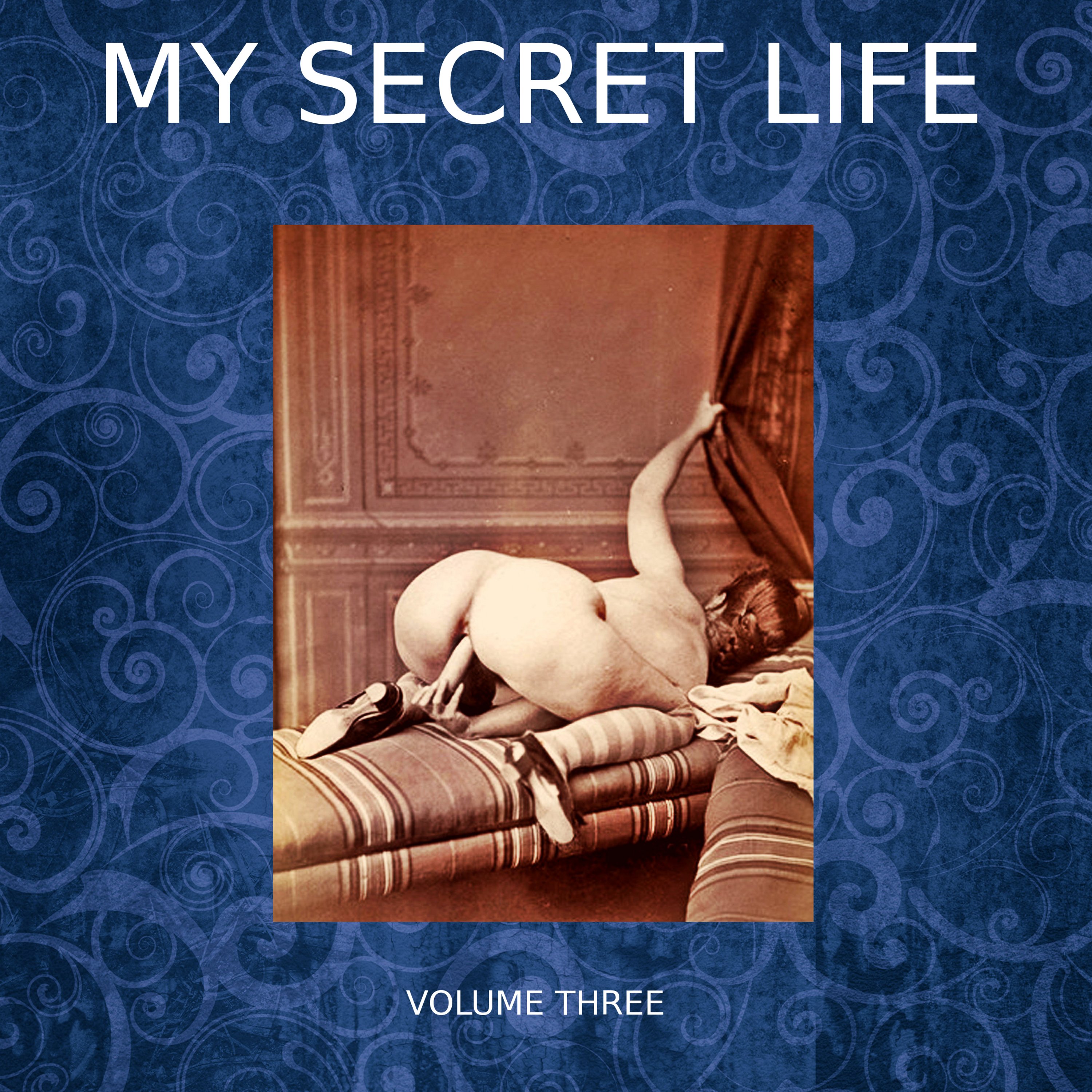 My Secret Life, Volume Three, Audio Book