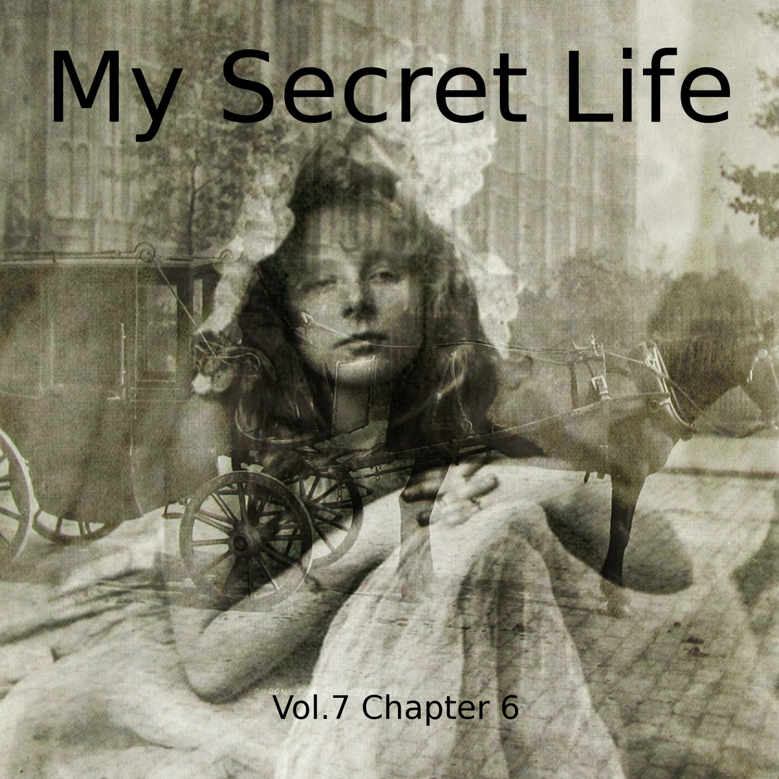 My Secret Life, Volume Seven, AUDIOBOOK - Image 7