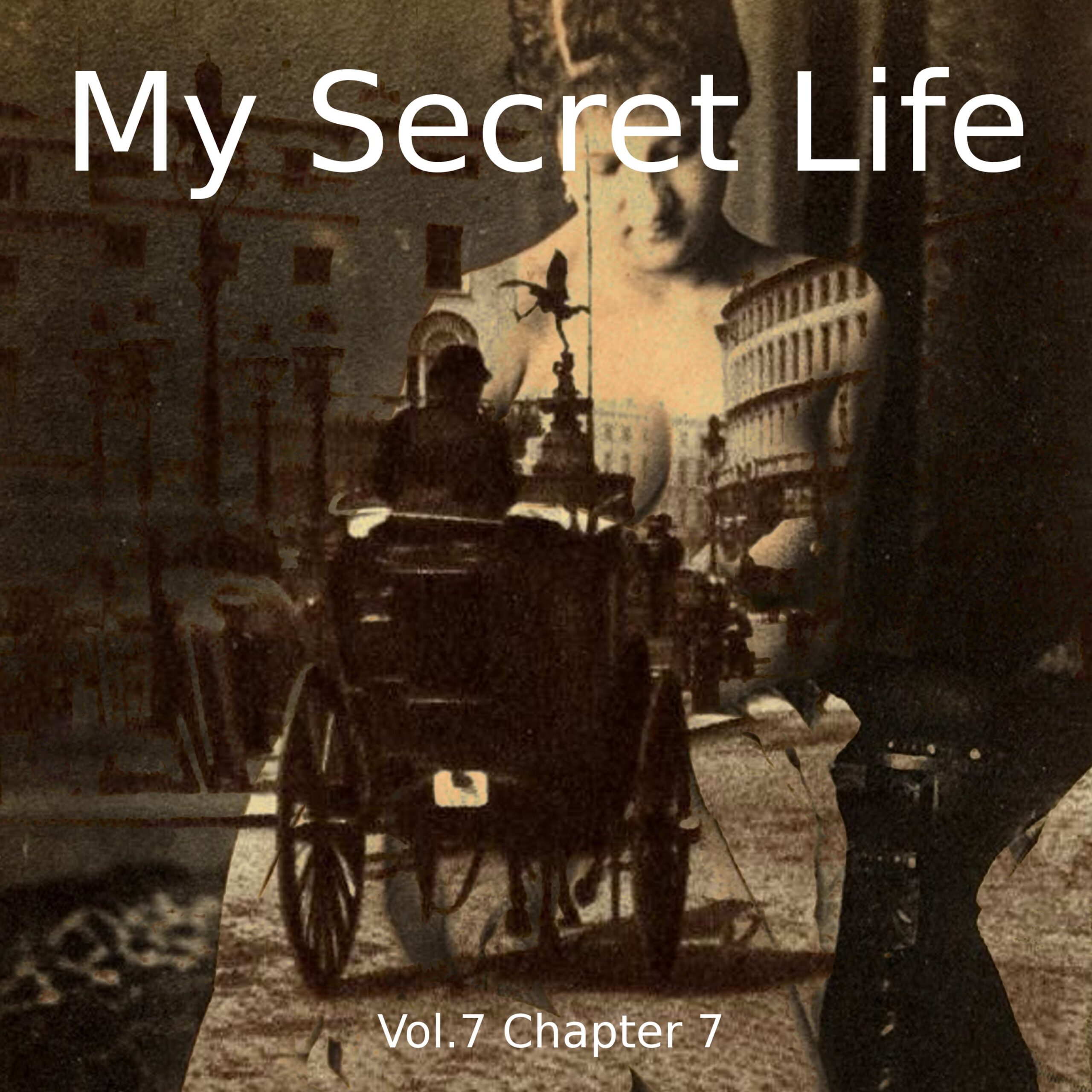 My Secret Life, Volume Seven, AUDIOBOOK - Image 8