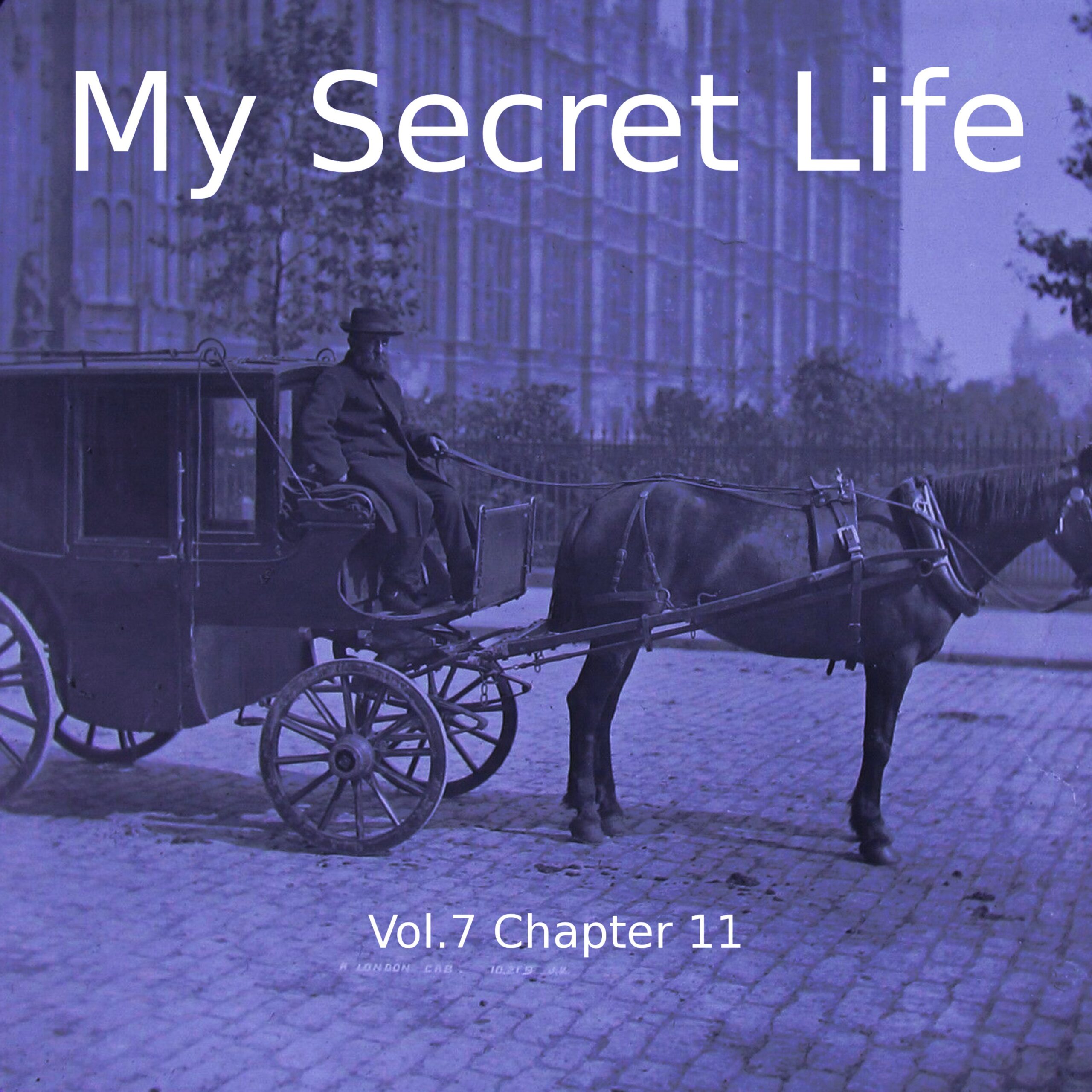 My Secret Life, Volume Seven, AUDIOBOOK - Image 12