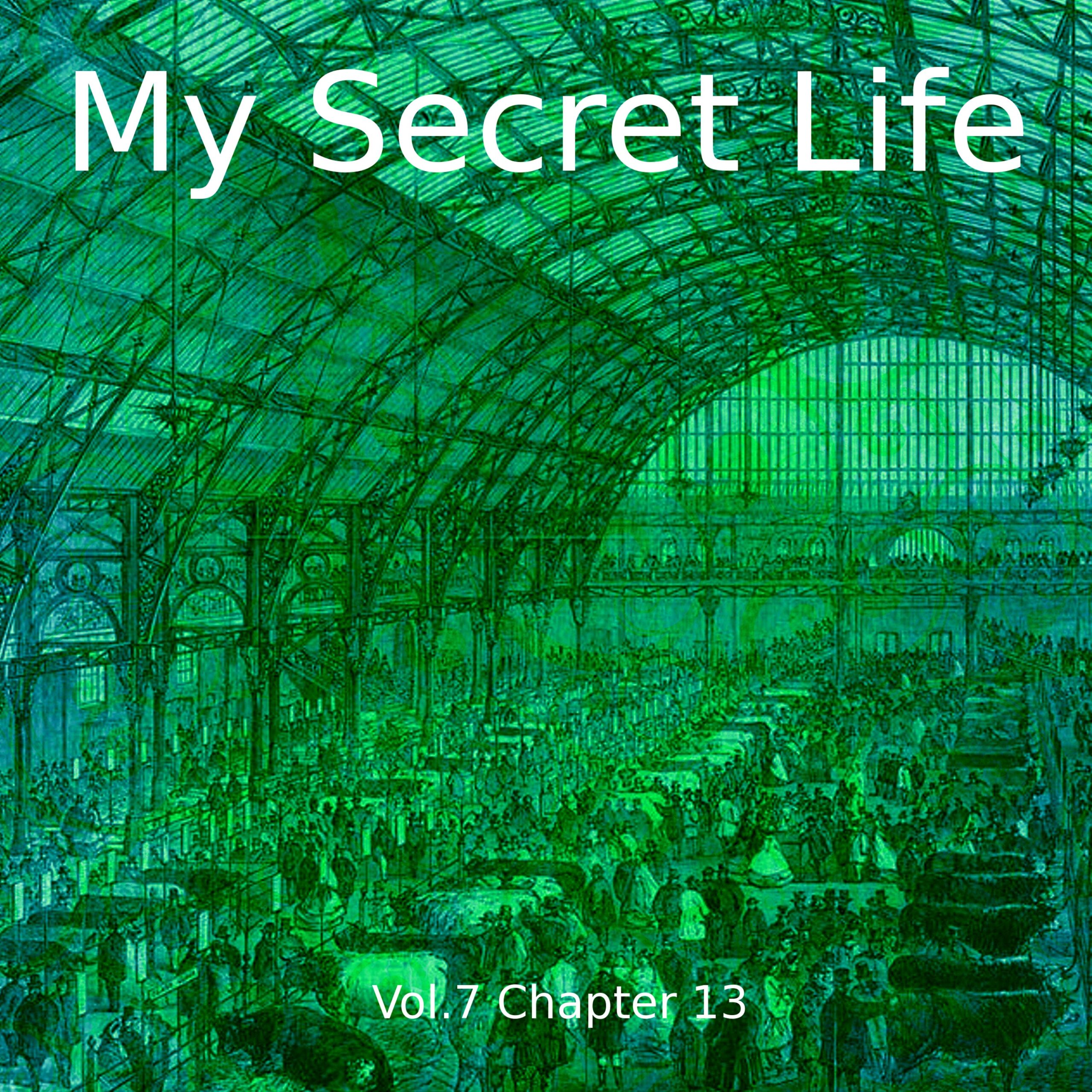 My Secret Life, Volume Seven, AUDIOBOOK - Image 14
